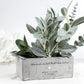 Dekorativer Blumentopf mit personalisiertem Namen für Paare, als liebevolles Geschenk zur Hochzeit. Der Topf hat eine moderne Form und eine feine Gravur mit Herzen. Neben einer kleinen Pflanze wirkt er warm und einladend. Perfekt als Paargeschenk, Valentinstag-Geschenk oder Geschenk zur Verlobung. Hochwertiges Material, ideal für romantische Deko im Wohnzimmer oder Schlafzimmer.