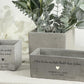Hochwertiger, personalisierter Pflanztopf mit Namen des Brautpaars, fotografiert in natürlichem Tageslicht. Der Blumentopf zeigt einen liebevollen Spruch und eignet sich hervorragend als Geldgeschenk zur Hochzeit oder Einweihung. Die Kombination aus Gravur, Pflanze und schlichtem Design macht ihn zu einer idealen Geschenkidee für Paare, die etwas Persönliches und Bleibendes wünschen.