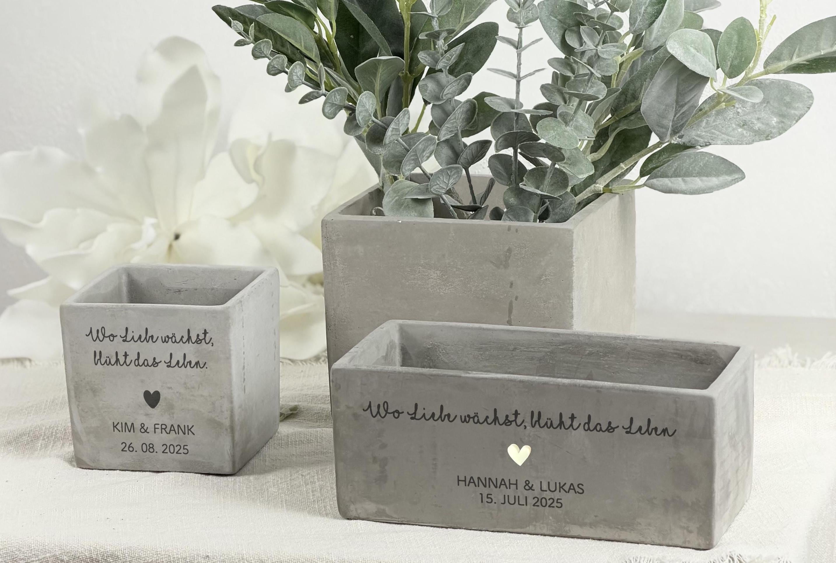 Hochwertiger, personalisierter Pflanztopf mit Namen des Brautpaars, fotografiert in natürlichem Tageslicht. Der Blumentopf zeigt einen liebevollen Spruch und eignet sich hervorragend als Geldgeschenk zur Hochzeit oder Einweihung. Die Kombination aus Gravur, Pflanze und schlichtem Design macht ihn zu einer idealen Geschenkidee für Paare, die etwas Persönliches und Bleibendes wünschen.