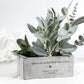 Personalisierter Blumentopf mit Gravur, dargestellt als Geschenkidee zur Hochzeit oder zum Einzug. Der Topf trägt einen individuellen Namen und ein Datum und enthält eine kleine dekorative Pflanze. Die warme Farbe des Topfes und die klare Gravur verleihen ihm ein elegantes, zeitloses Erscheinungsbild. Perfekt für Brautpaare, frisch Verlobte oder Paare, die ein neues Zuhause feiern.